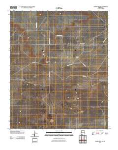 Gammil Well NE 2010 topographic map thumbnail