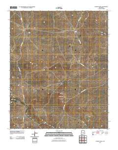 Cowboy Mesa 2010 topographic map thumbnail