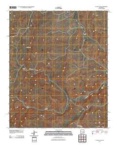 Flying H NW 2010 topographic map thumbnail