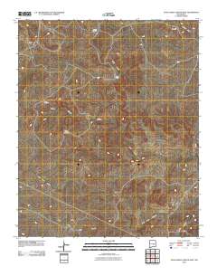 Juan Largo Canyon East 2010 topographic map thumbnail