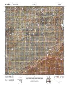 Illinois Camp SE 2010 topographic map thumbnail