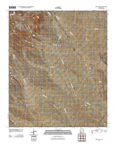 Greg Hills 2010 topographic map thumbnail