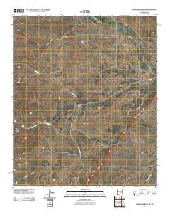 Horseshoe Bend NW 2010 topographic map thumbnail