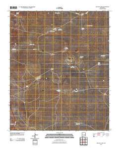 Denton Camp 2010 topographic map thumbnail