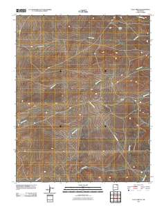 Loco Arroyo 2010 topographic map thumbnail