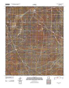 King Camp 2010 topographic map thumbnail