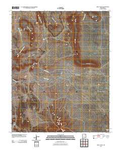 Mesa Larga 2010 topographic map thumbnail
