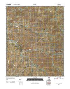 Laguna Castillo 2010 topographic map thumbnail