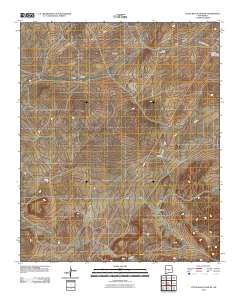 Little Black Peak NE 2010 topographic map thumbnail