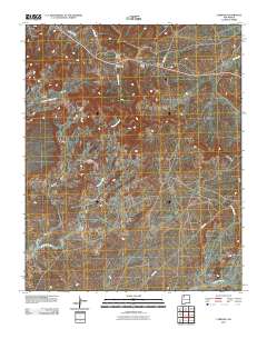 Lybrook 2010 topographic map thumbnail