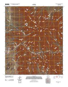 Organ Peak 2010 topographic map thumbnail