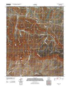 Pinedale 2010 topographic map thumbnail