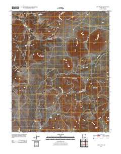 Pine Buttes 2010 topographic map thumbnail