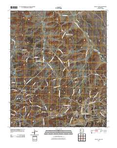 Nicoll Lake 2010 topographic map thumbnail