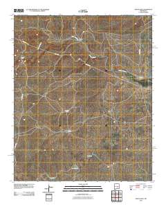 North Lake 2010 topographic map thumbnail