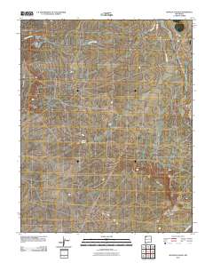 Moncisco Wash 2010 topographic map thumbnail