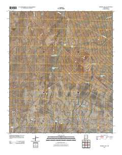 Ninemile Hill 2010 topographic map thumbnail