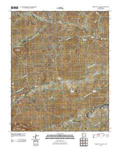 Piedra De La Aguila 2010 topographic map thumbnail