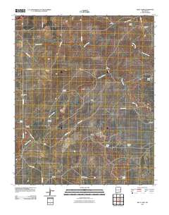 Riley Camp 2010 topographic map thumbnail