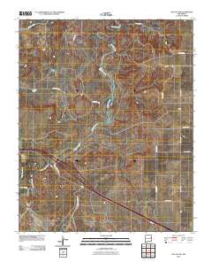 San Jon NW 2010 topographic map thumbnail