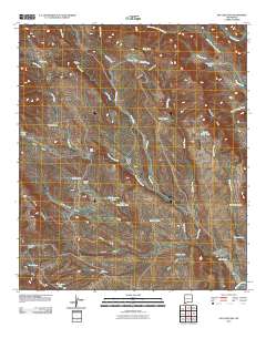 San Luis Pass 2010 topographic map thumbnail