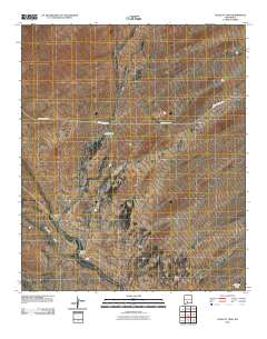 Polecat Tank 2010 topographic map thumbnail