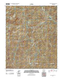 Red Lake Well 2010 topographic map thumbnail