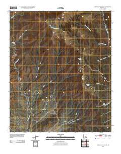 Sierra Blanca Peak 2010 topographic map thumbnail