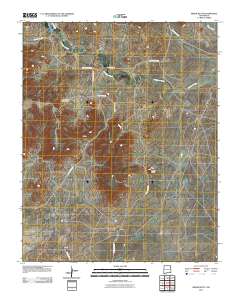 Minnie Butte 2010 topographic map thumbnail