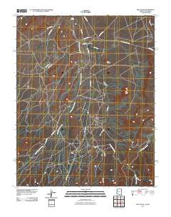 Red Valley 2010 topographic map thumbnail