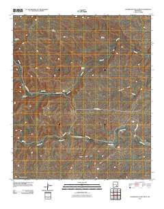 Sagebrush Valley West 2010 topographic map thumbnail