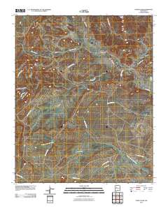 Puerco Dam 2010 topographic map thumbnail