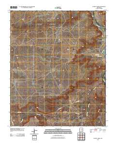 Puerto Creek 2010 topographic map thumbnail