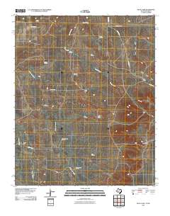 Rock Camp 2010 topographic map thumbnail