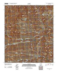 Thumb Tank Peak 2010 topographic map thumbnail