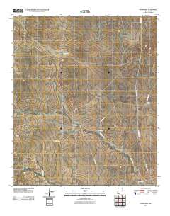 Stone Well 2010 topographic map thumbnail