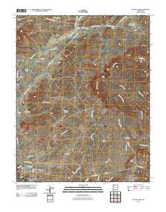 Youngs Lake 2010 topographic map thumbnail