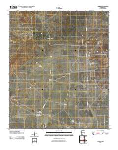 Caprock 2010 topographic map thumbnail