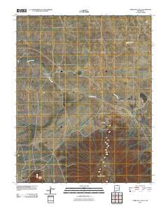 Cerro De La Olla 2010 topographic map thumbnail