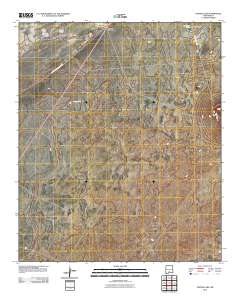 Foster Lake 2010 topographic map thumbnail