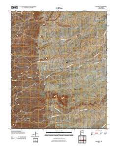 Naschitti 2010 topographic map thumbnail