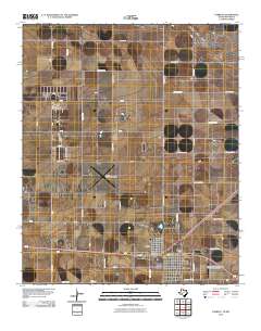 Farwell 2010 topographic map thumbnail