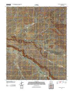 Venadito Camp 2010 topographic map thumbnail