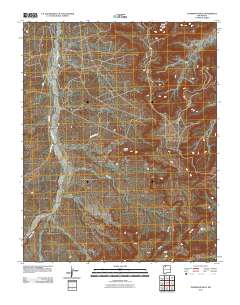 Thompson Mesa 2010 topographic map thumbnail