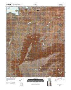 Tenaja Mesa 2010 topographic map thumbnail