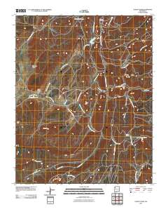 Todilto Park 2010 topographic map thumbnail