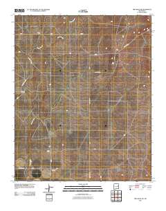 Twin Mesa NW 2010 topographic map thumbnail