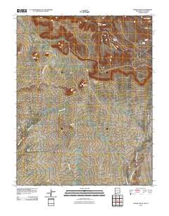 Skinney Rock 2010 topographic map thumbnail