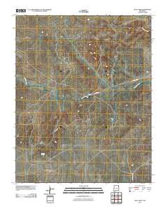 Skull Mesa 2010 topographic map thumbnail