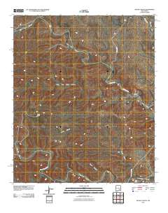 Skunk Canyon 2010 topographic map thumbnail